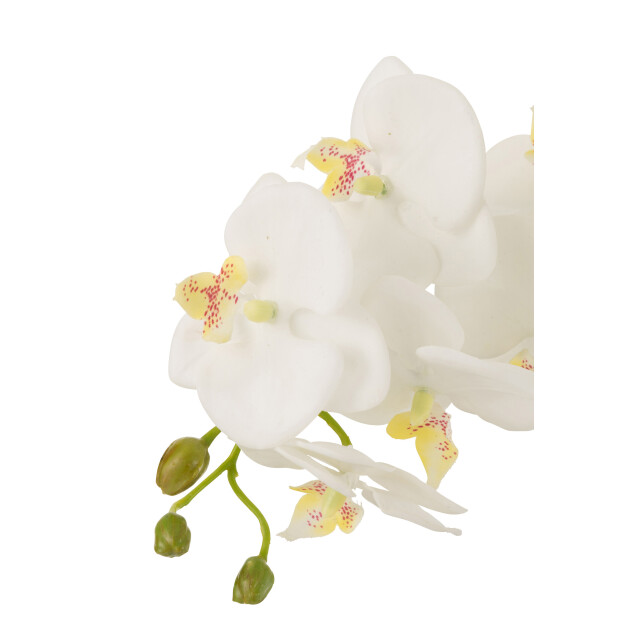 J-Line orchidee in aarde plastiek /groen large 32x32x75cm 3000145 large