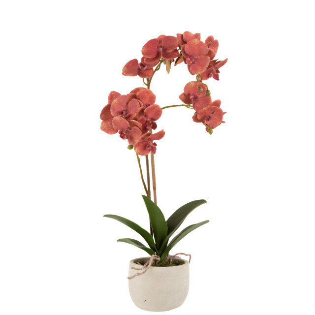 J-Line orchidee in pot plastiek/cement diep/beige 32x32x57cm 3000397 large