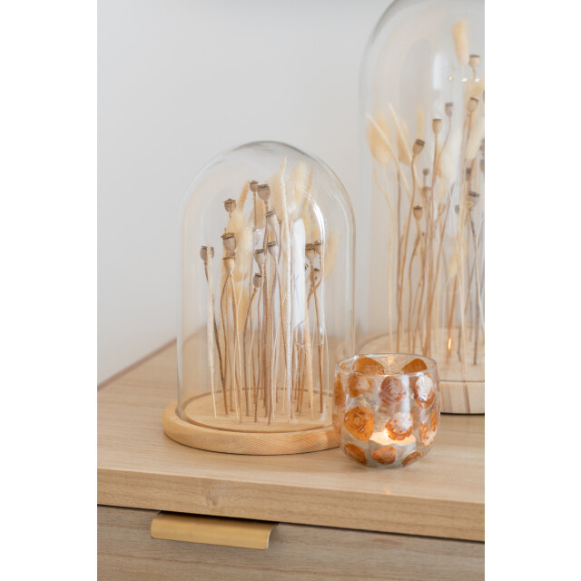 J-Line stolp droogbloemen ecru/bruin glas hout small 16.5x16.5x25cm 3006645 large