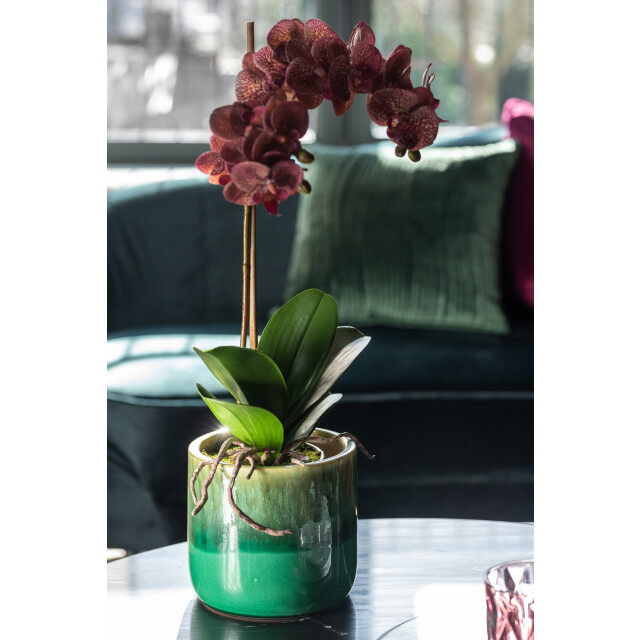 J-Line orchidee in pot plastiek/cement donker /zilver 23x23x50cm 3000395 large