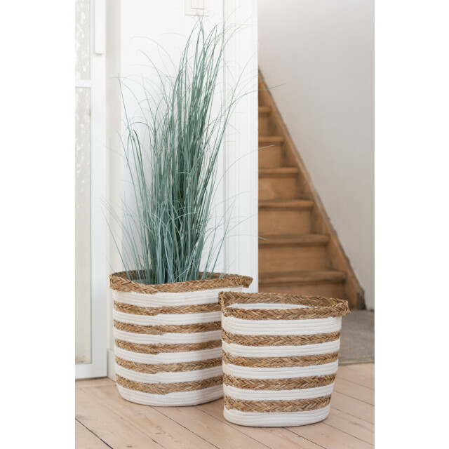 J-Line grassen in pot plastiek blauw/ large 49x44x121cm 3007312 large