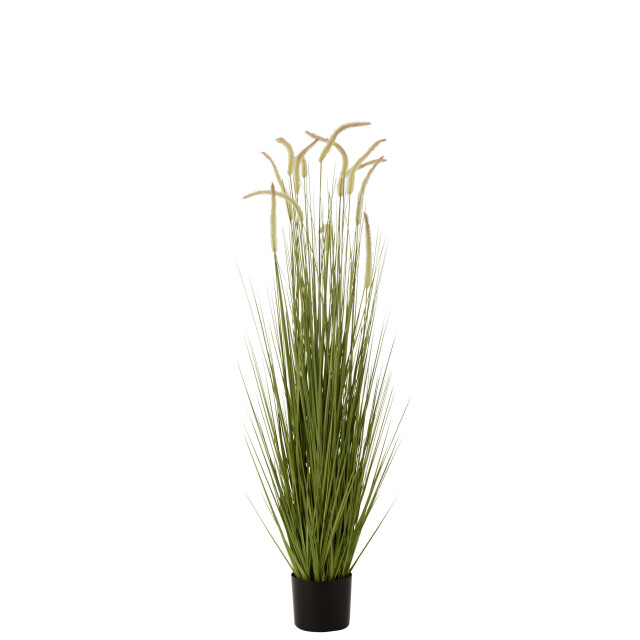 J-Line grassen+staarten in pot plastiek large 25x25x151cm 3007324 large