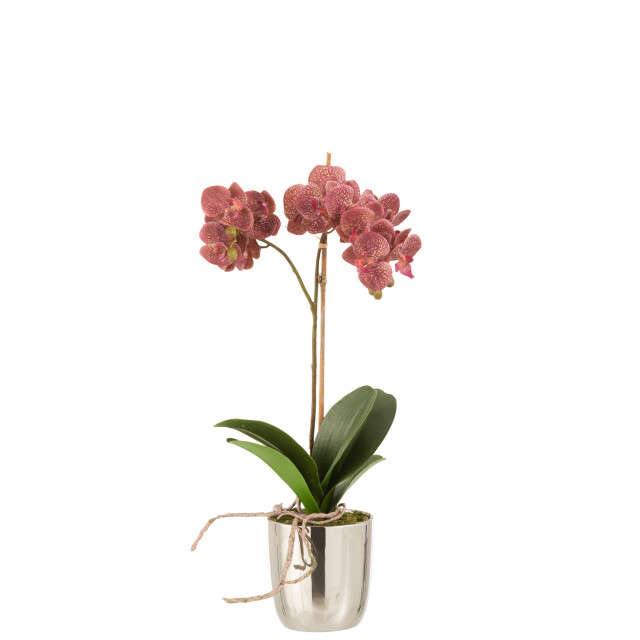 J-Line orchidee in pot plastiek/cement donker /zilver 23x23x50cm 3000395 large