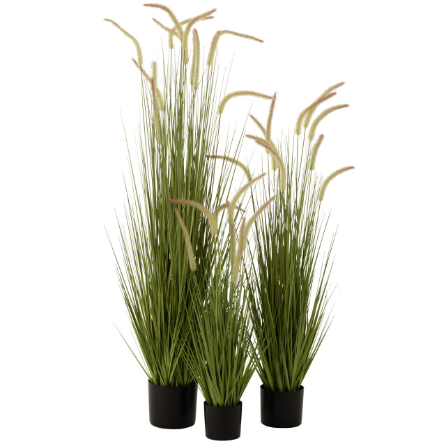 J-Line grassen+staarten in pot plastiek large 25x25x151cm 3007324 large