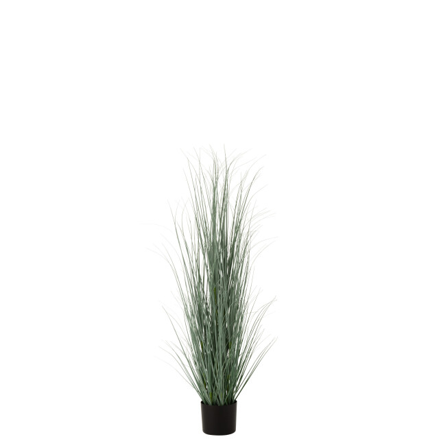 J-Line grassen in pot plastiek blauw/ large 49x44x121cm 3007312 large