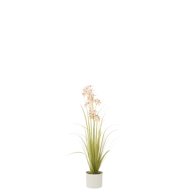 J-Line allium in pot plastiek groen/licht small 20x20x89cm 3001298 large