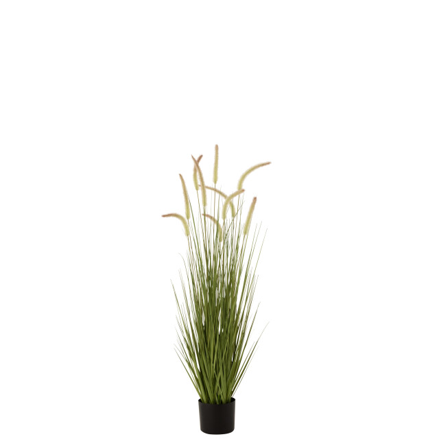 J-Line grassen+staarten in pot plastiek medium 35x35x120cm 3007321 large