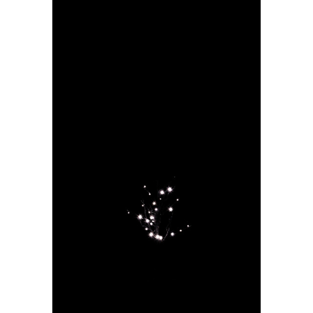 J-Line boom kaal+30warm wit leds + adapter draad 3m glitter zw s 53x48x92cm 3002868 large