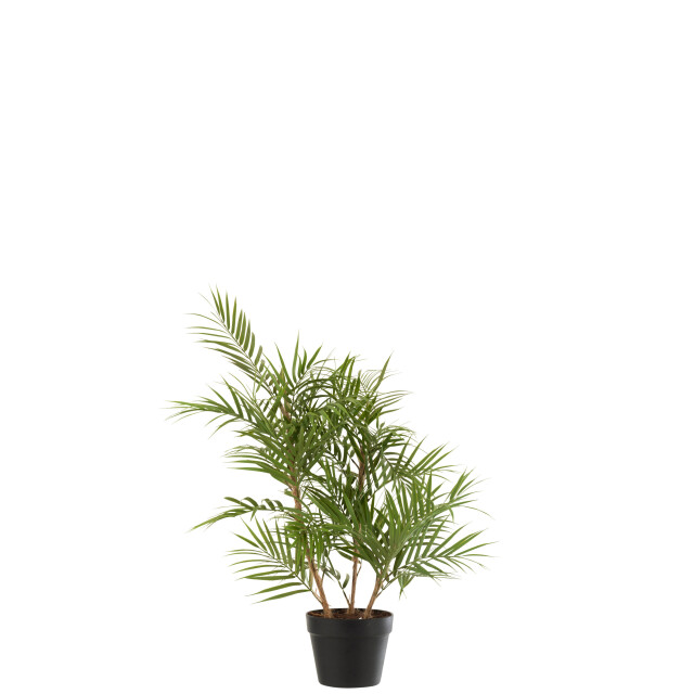 J-Line bergpalm in pot plastiek /zwart small 50x50x84cm 3000154 large
