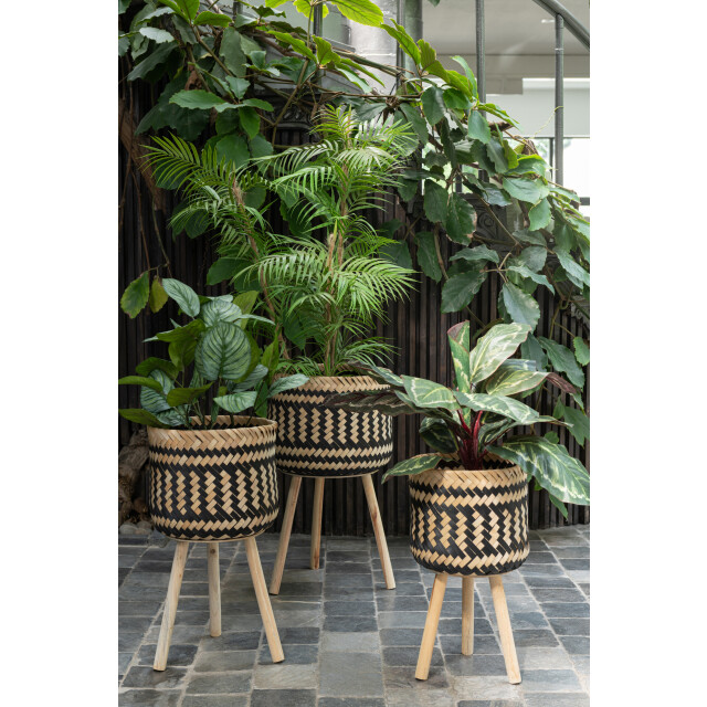 J-Line bergpalm in pot plastiek /zwart small 50x50x84cm 3000154 large