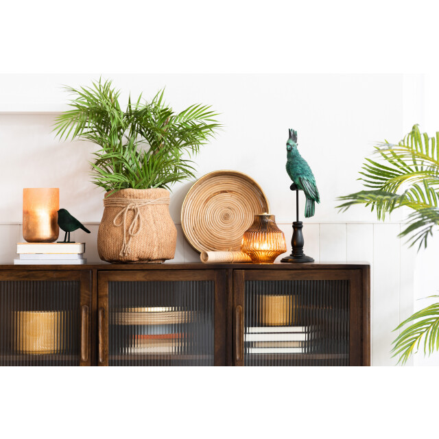 J-Line bergpalm in pot plastiek /zwart small 50x50x84cm 3000154 large