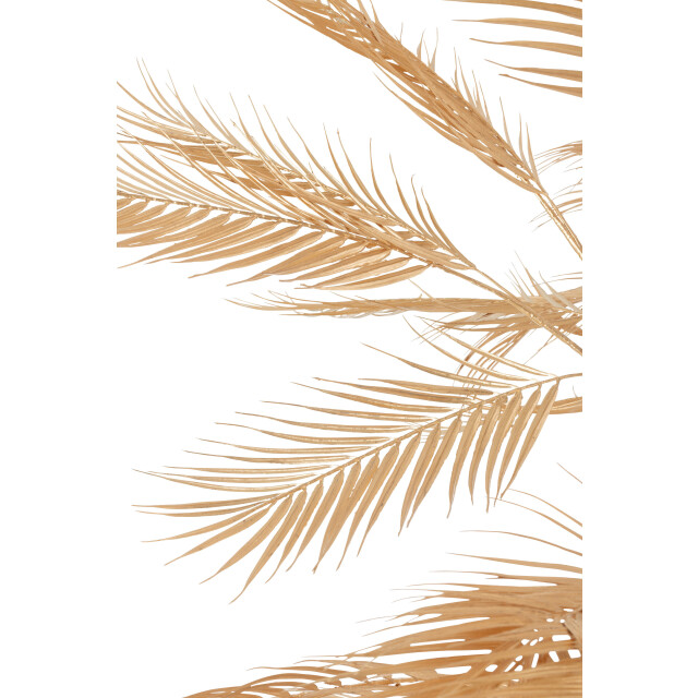 J-Line boom palm bladeren 3 stammen staal goud large 180x180x250cm 3001721 large