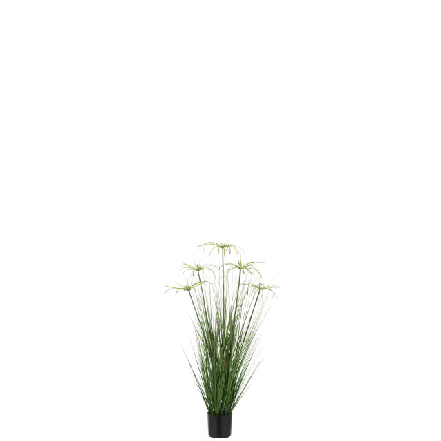 J-Line cyperus alternifolius 5 koppen in pot pvc small 32x32x100cm 3008189 large
