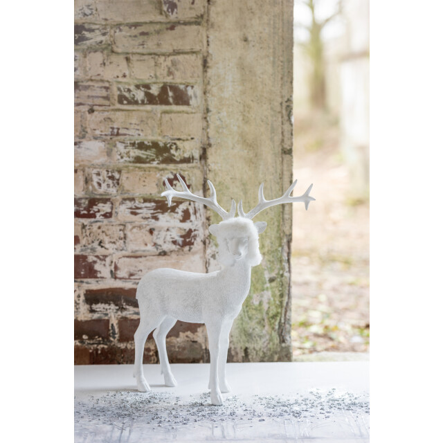 J-Line rendier poly small 29x15x45cm 3005939 large