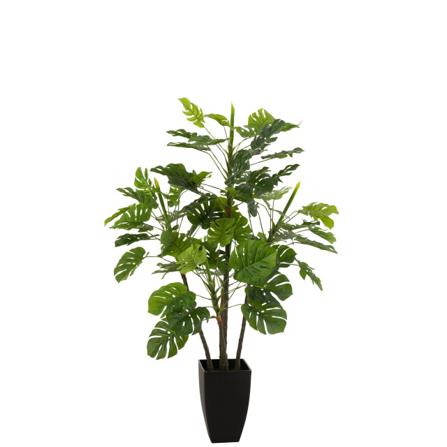 J-Line philodendron in pot plastiek large 73x73x117cm 3000159 large