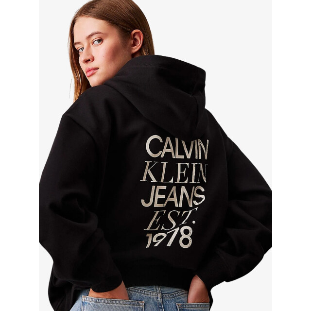 Calvin Klein Mixed logo relaxed h, beh J20J224911-BEH large