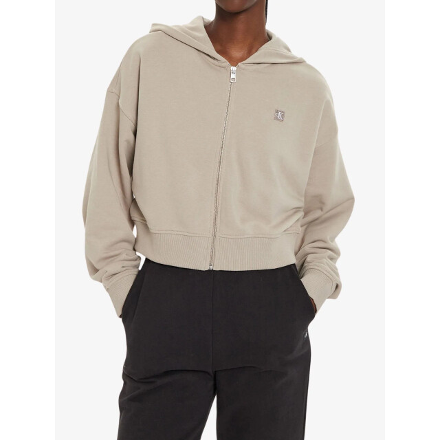 Calvin Klein Ck embro badge zip-t, pcf J20J222885-PCF large