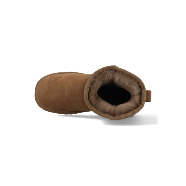 Warmbat Pantoffels boot wallaby wly321055 mud WLY321055 large