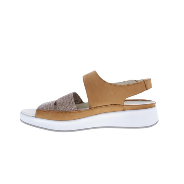 Solidus 75033 75033 Hannah large