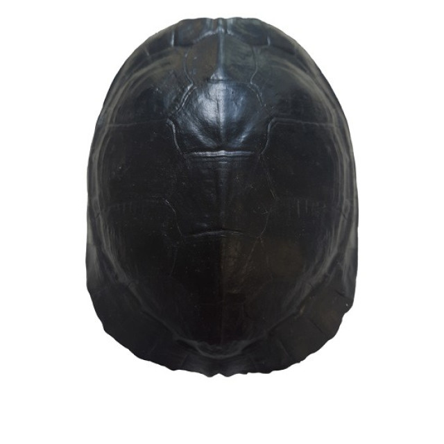 Furnilux katana small schildpad 3015241 large