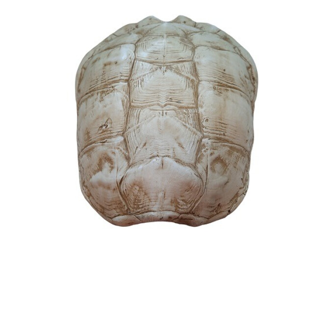 Furnilux katana large schildpad 3015238 large