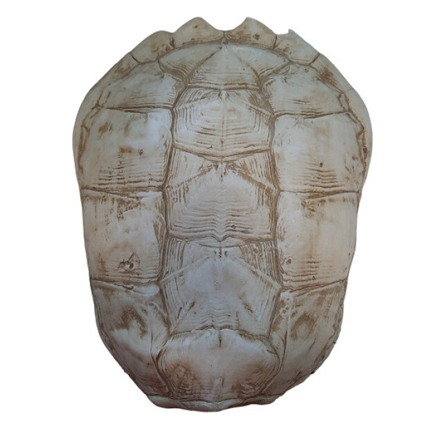 Furnilux katana large schildpad 3015238 large