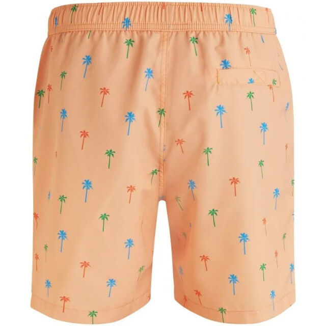 Björn Borg Heren swimshort sylvester 1821-1190-30491 large