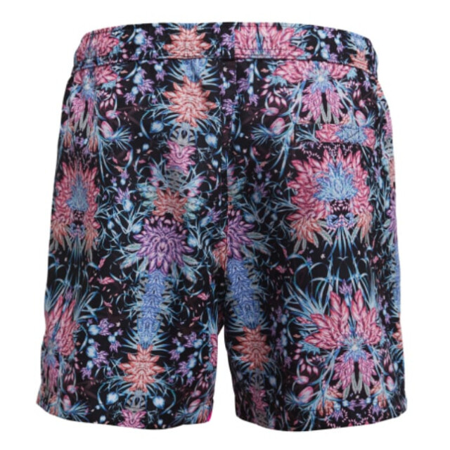 Björn Borg Heren swimshort sylvester 2011-1106-91581 large