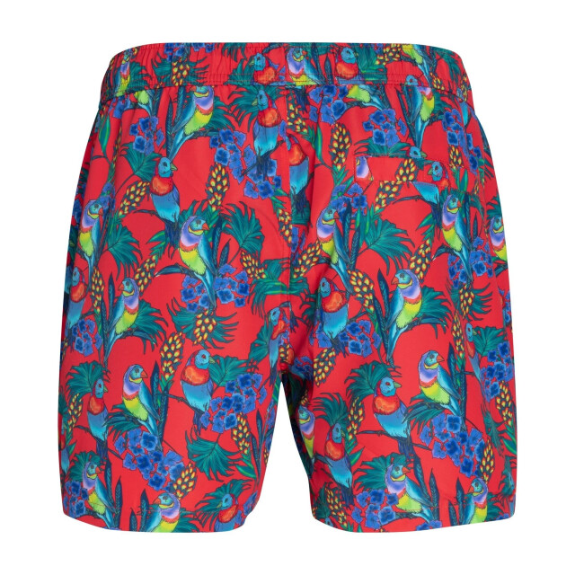 Björn Borg Heren swimshort sylvester 1921-1048-50791 large