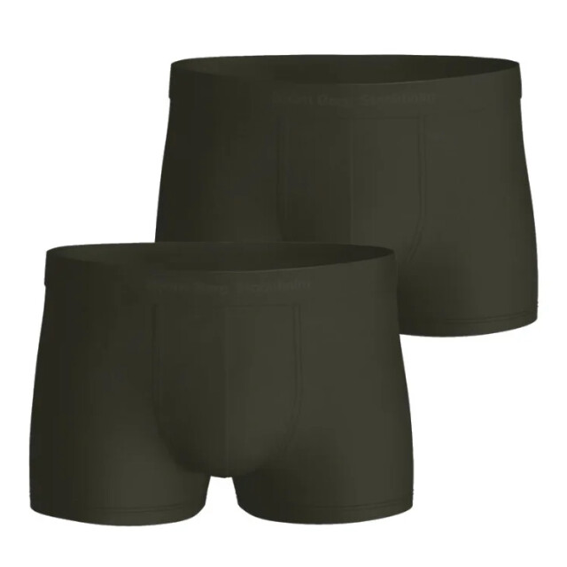 Björn Borg Heren trunk 2p lycocell 10000305-MP001 large