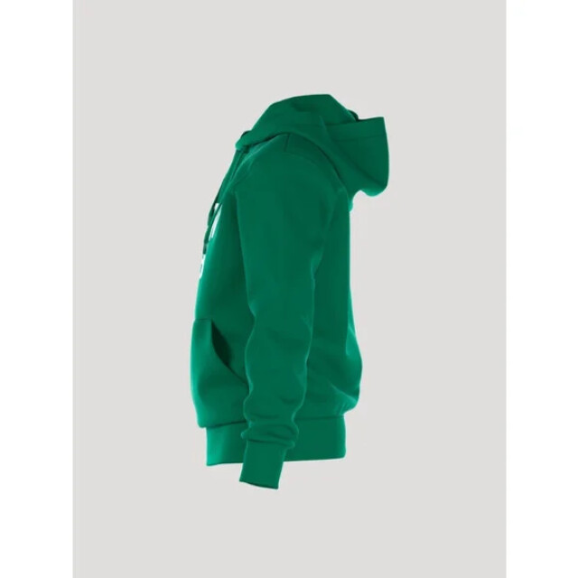 Björn Borg Heren borg essential hoody 10001973-GN078 large