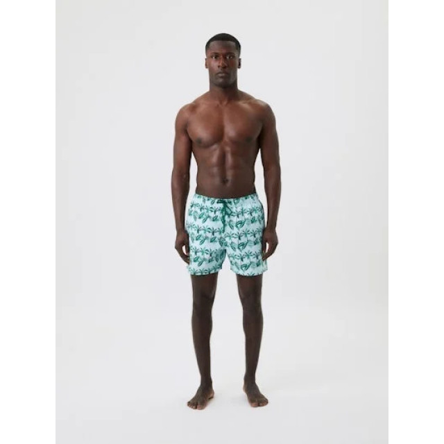 Björn Borg Heren swimshort borg 10001634-P0302 large