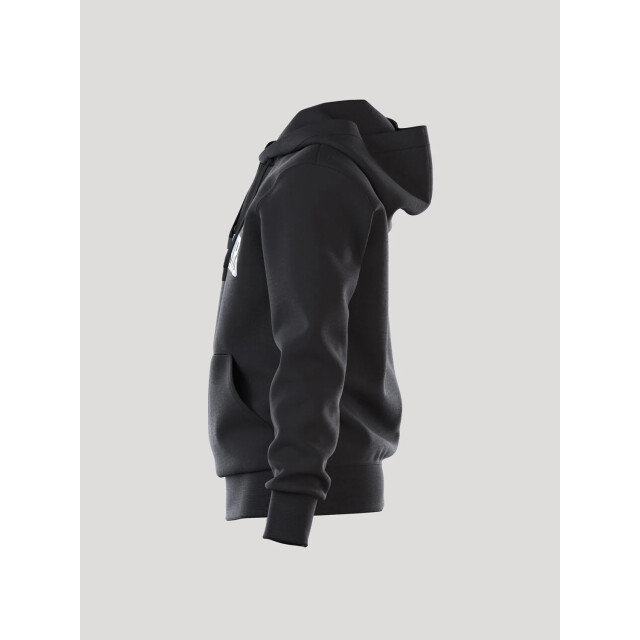 Björn Borg Heren borg essential hoody 10002039-BK001 large