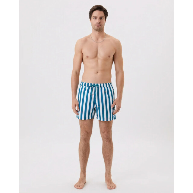 Björn Borg Heren swimshort borg 10001634-P0300 large