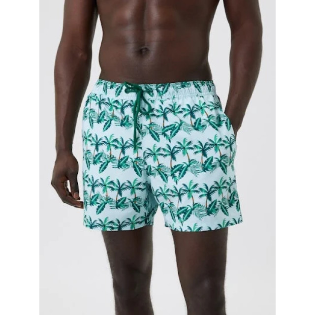 Björn Borg Heren swimshort borg 10001634-P0302 large