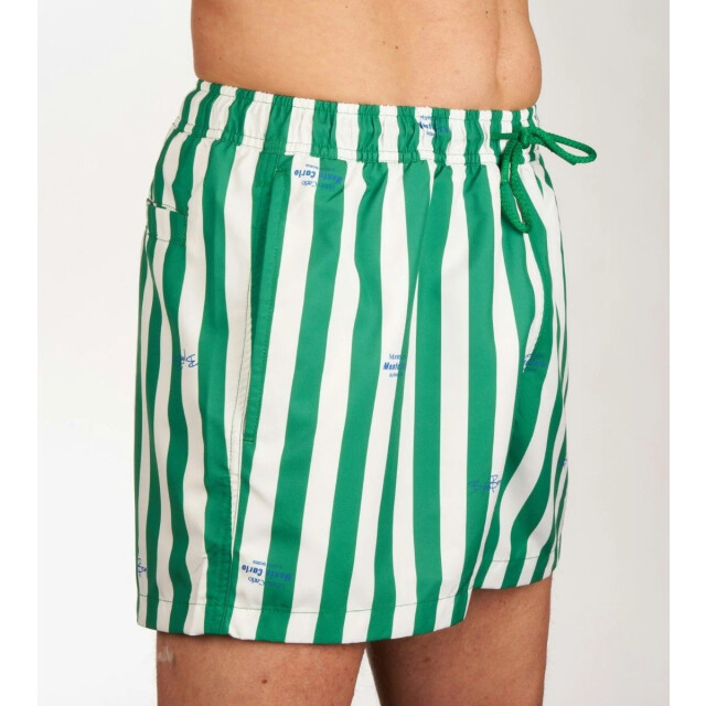 Björn Borg Heren swimshort borg 10001634-P0299 large