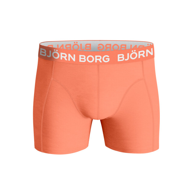 Björn Borg Heren boxershort 5p cotton stretch 10002346-MP006 large