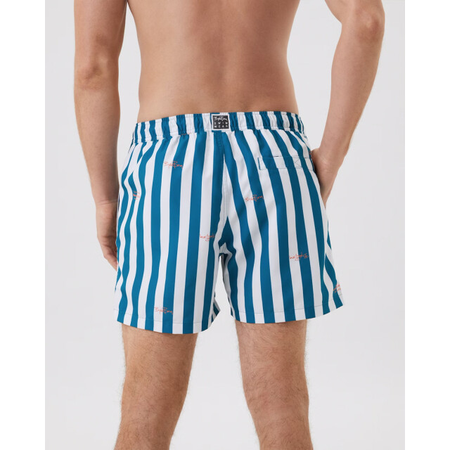 Björn Borg Heren swimshort borg 10001634-P0300 large