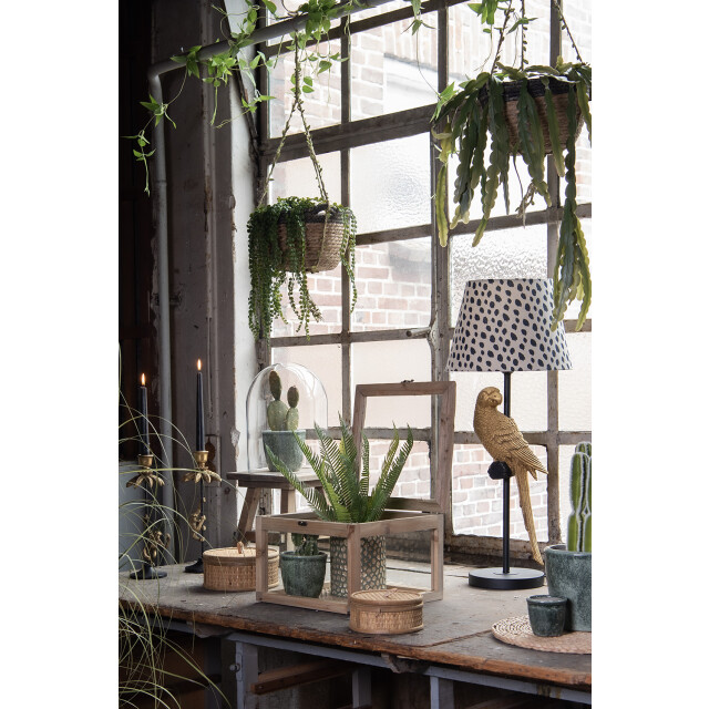 Clayre & Eef Opbergkist 30x30x21 cm hout vierkant speelgoedkist 1095938 large