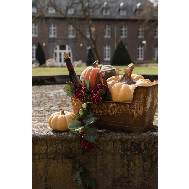 Clayre & Eef Planthouder 45x28x23 cm ijzer rechthoek bloempot binnen 1090780 large