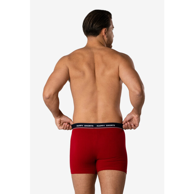 Happy Shorts Heren boxershorts kerst print 2-pack gingerbread HS-J-1073 large
