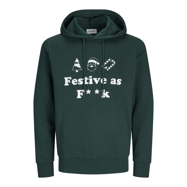 Jack & Jones Heren kersttrui jjxmas 12266115-Groen large
