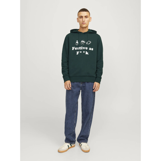 Jack & Jones Heren kersttrui jjxmas 12266115-Groen large