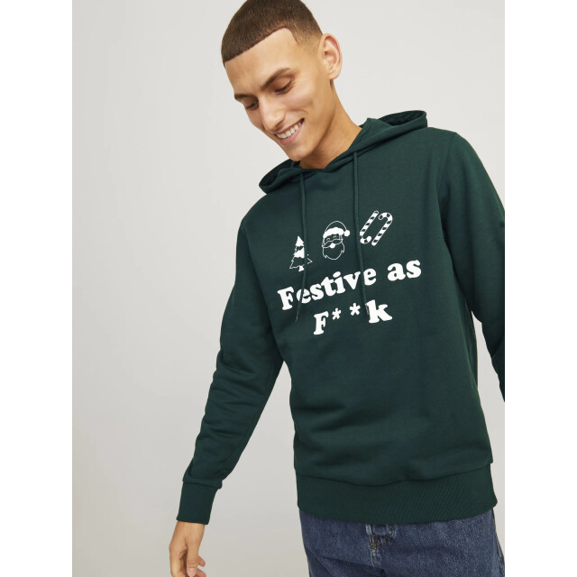 Jack & Jones Heren kersttrui jjxmas 12266115-Groen large