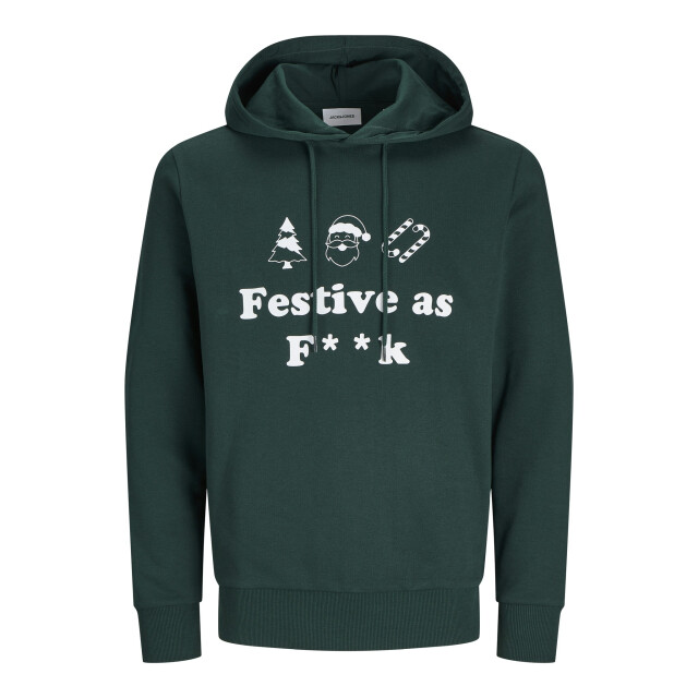 Jack & Jones Heren kersttrui jjxmas 12266115-Groen large