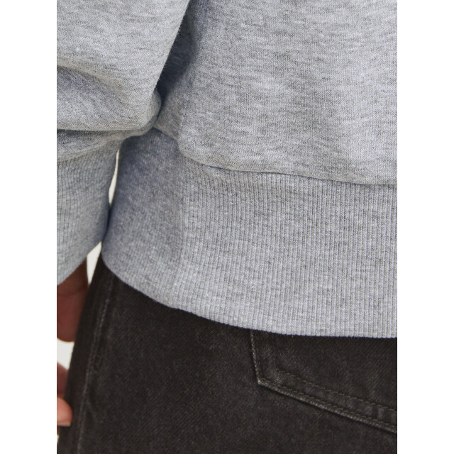 Jack & Jones Heren kersttrui jjxmas 12266115-Grijs large