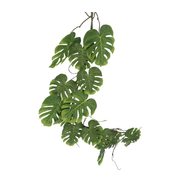 Kopu ® hangplant split philodendron 119 cm macramé plantenhanger xl 2612797 large