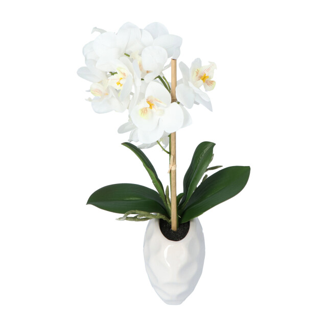 Kopu ® kunstplant orchidee 33 cm in te sierpot 13x9cm - 2612793 large