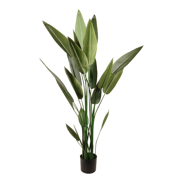 Kopu ® kunstplant canna 140 cm 20 bladeren in zwarte pot bloemriet 2612757 large