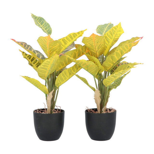 Kopu ® 2 stuks kunstplant croton 35 cm 14 bladeren in zwarte pot 2612755 large
